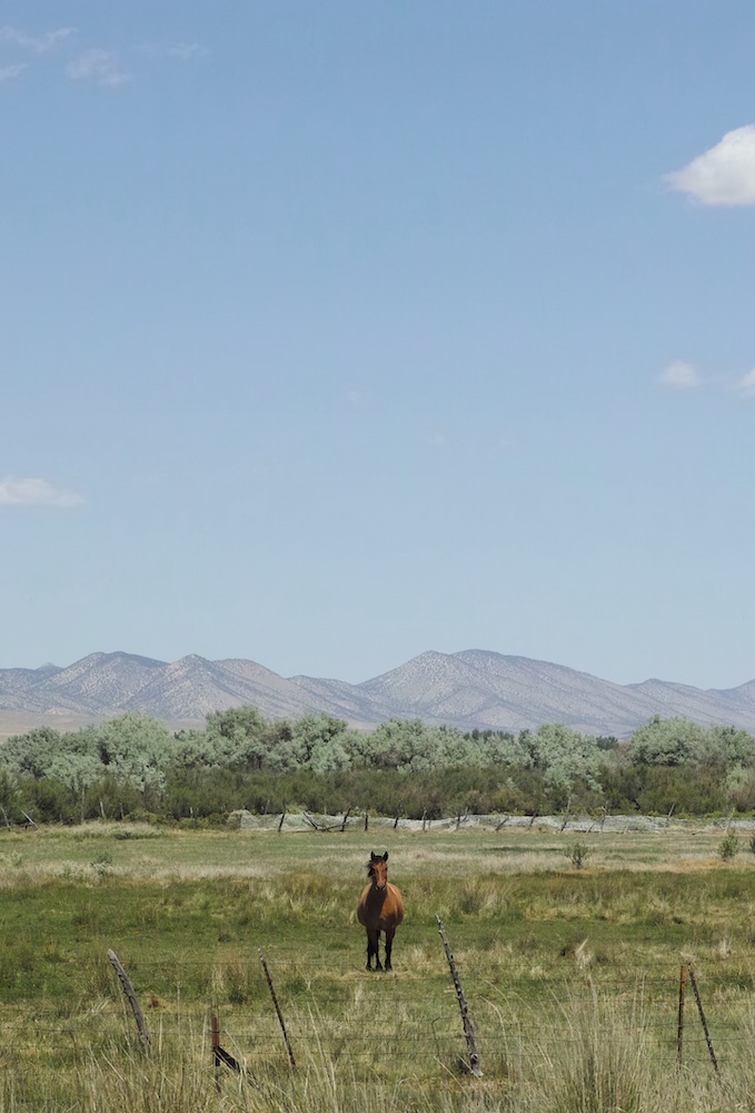 Road trip landscape photography from America simulator, image 1